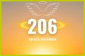 
ANGEL NUMBER 206
