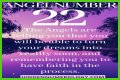 
ANGEL NUMBER 22
